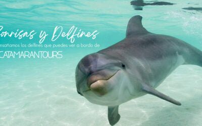 Delfines y Sonrisas