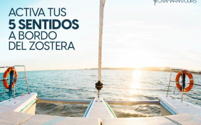 Activa tus sentidos a bordo del Zostera: Beneficios del mar para el cuerpo y la mente