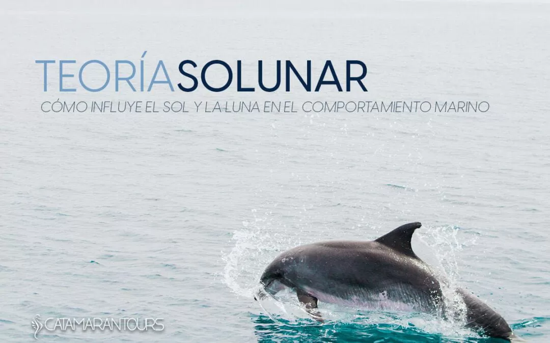 ¿Cómo afecta la Teoría Solunar a la pesca?